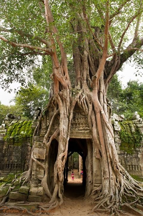 Angkor11