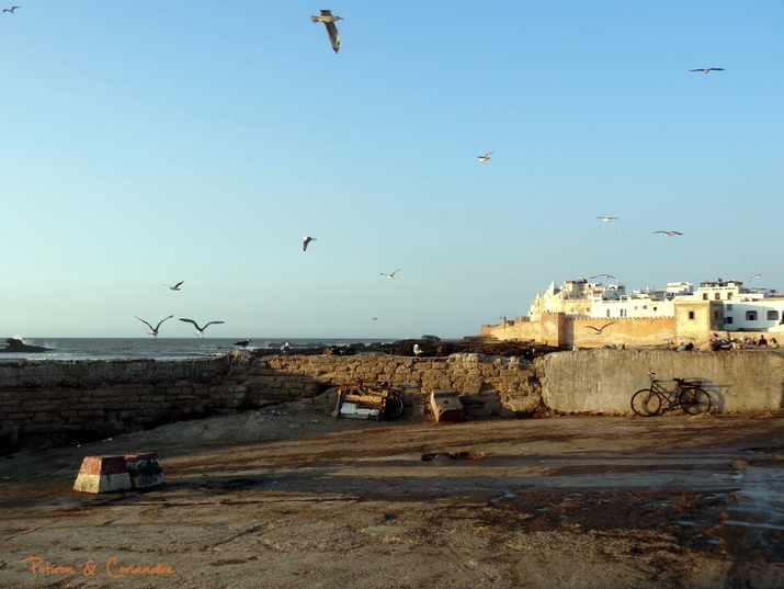 Essaouira (4)