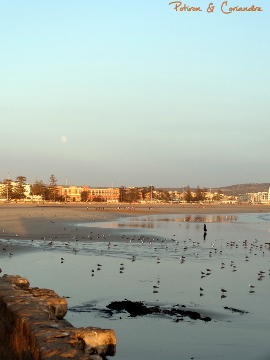Essaouira (6)