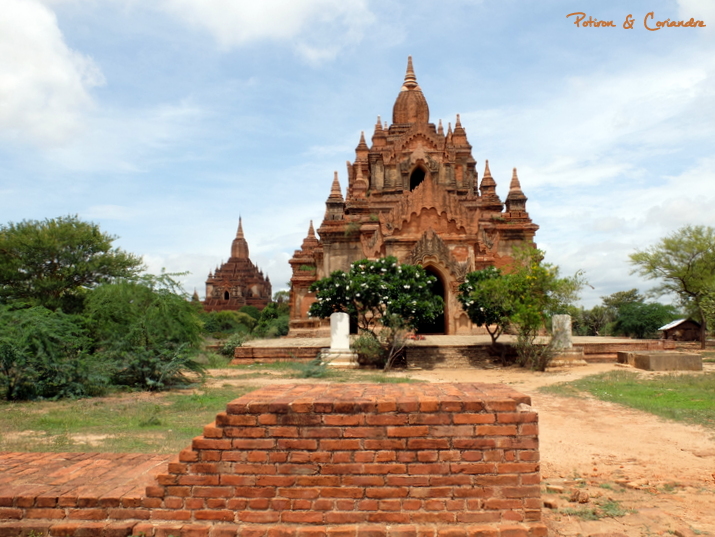 Bagan (10)