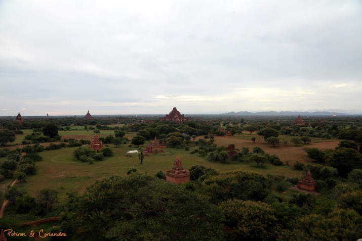 Bagan (11)