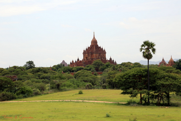 Bagan (4)