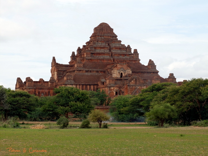 Bagan (9)